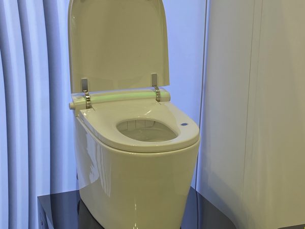 Common Toilet Problems: Handle Them Wisely