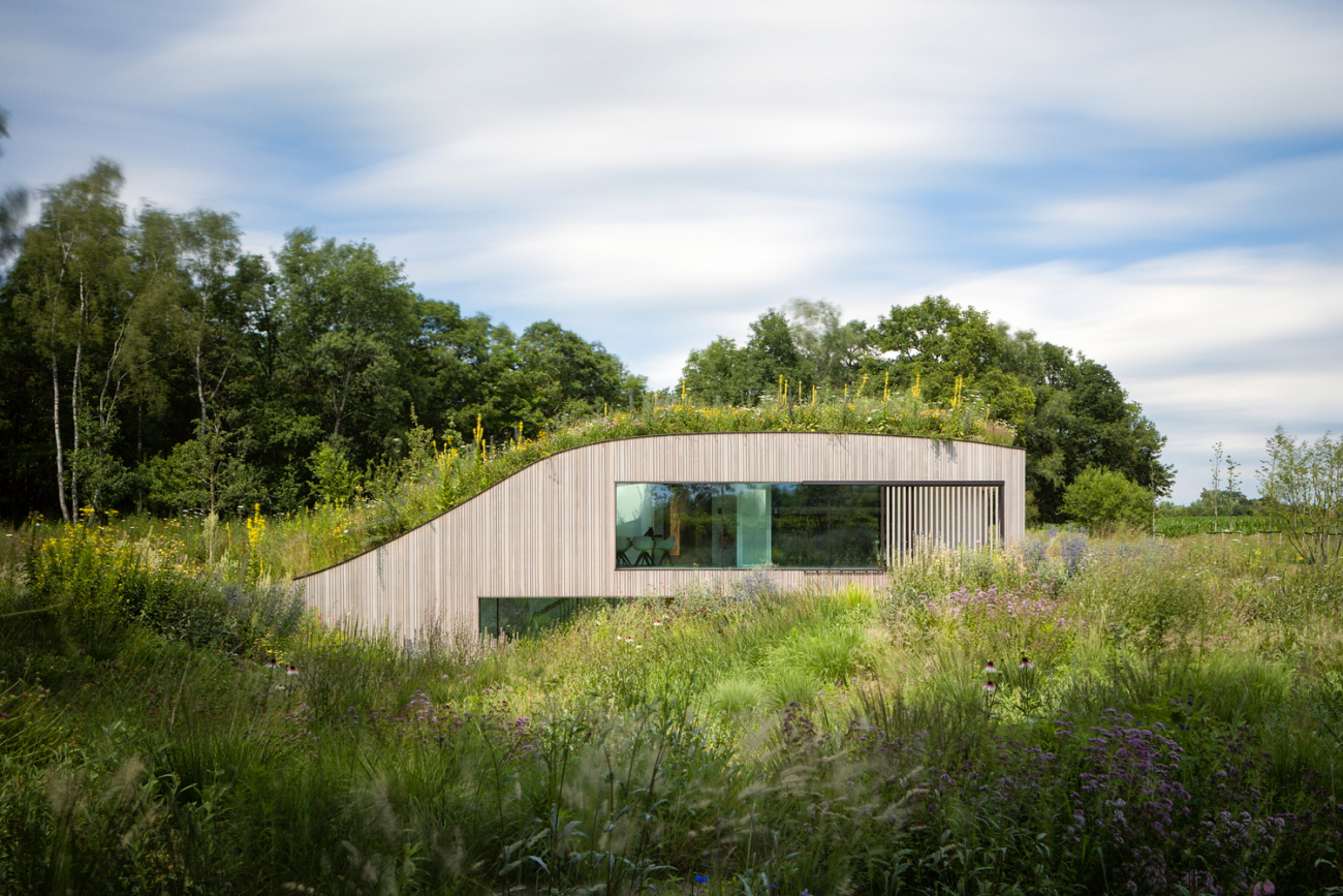 Modern underground house in Netherlands exterior