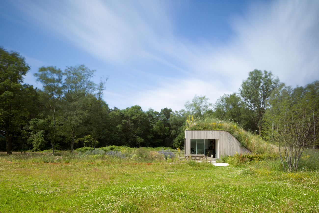 Modern underground house in Netherlands grass