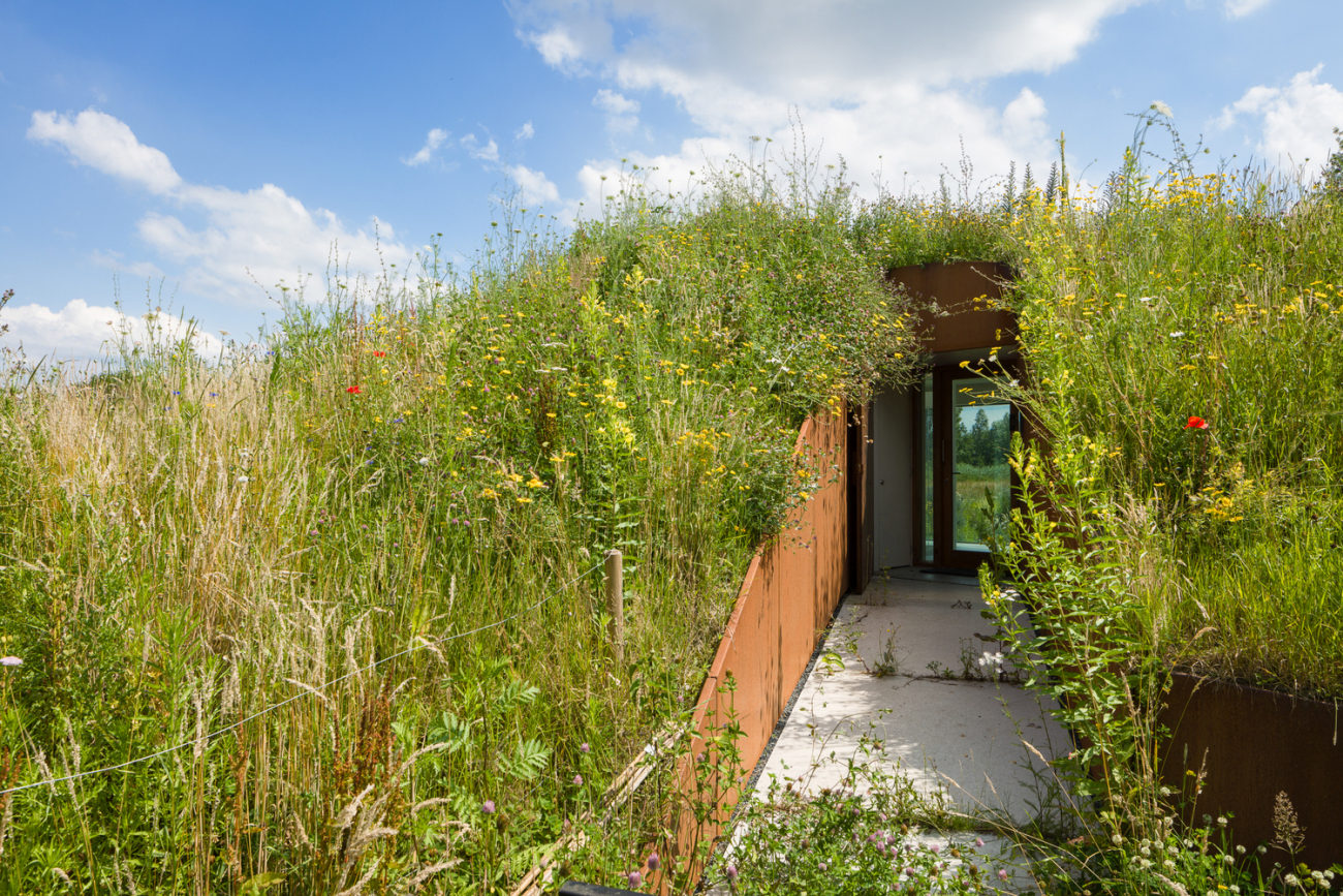 Modern underground house in Netherlands pathway