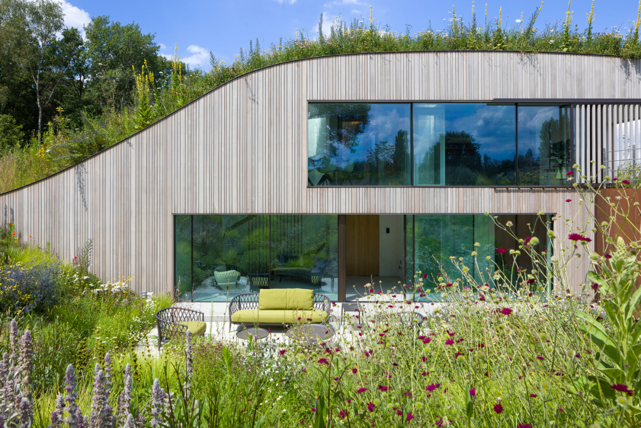 Modern underground house in Netherlands patio