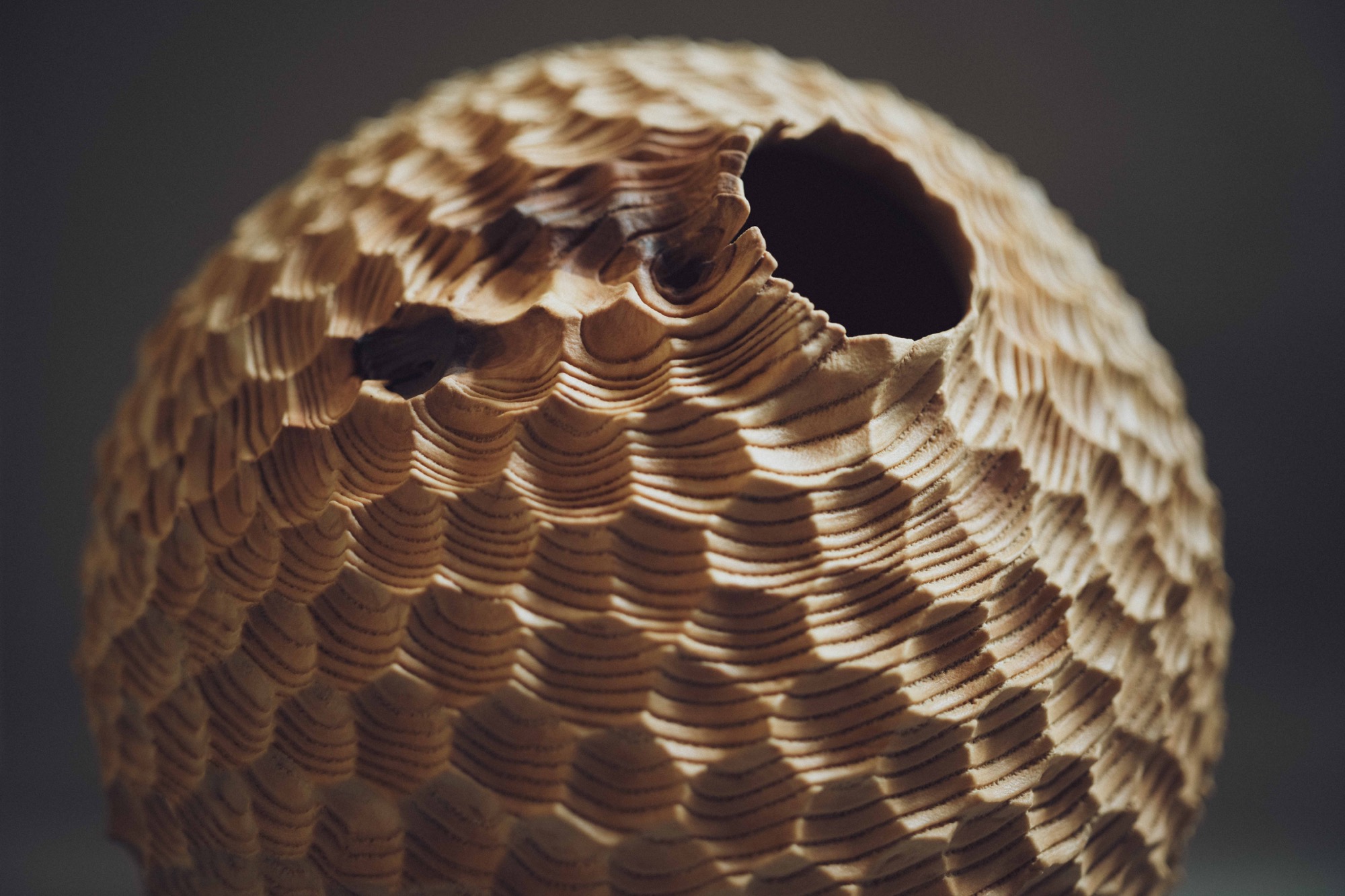 a detail photo of a handmade wooden vessel with a textured and striated surface, illuminated against a dark gray background