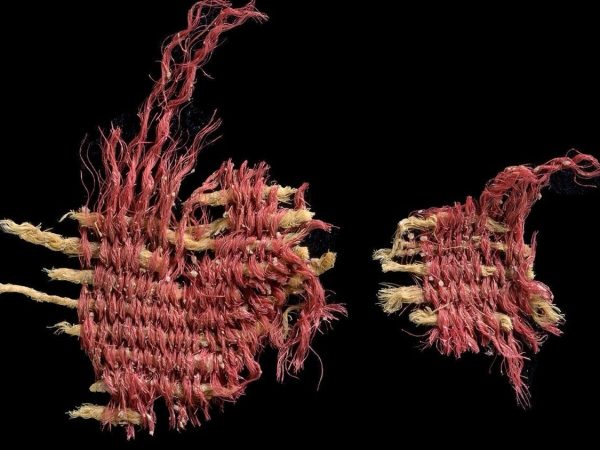 The Oldest Example of a Prestigious Red Dye Was Found in a Rare 3,800-Year-Old Textile