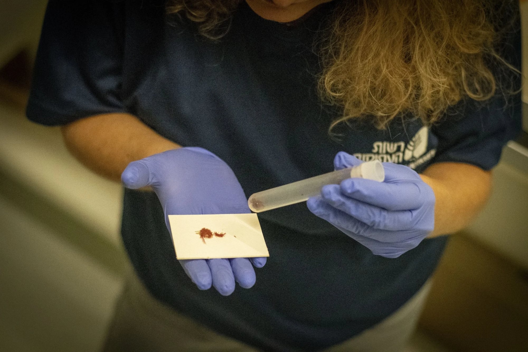 a woman with curly blond hair holds a white rectangle in her gloved palm with small red fragments on top