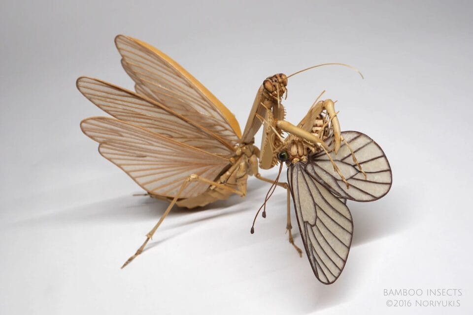 a meticulously detailed wooden sculpture of a mantis fighting a butterfly