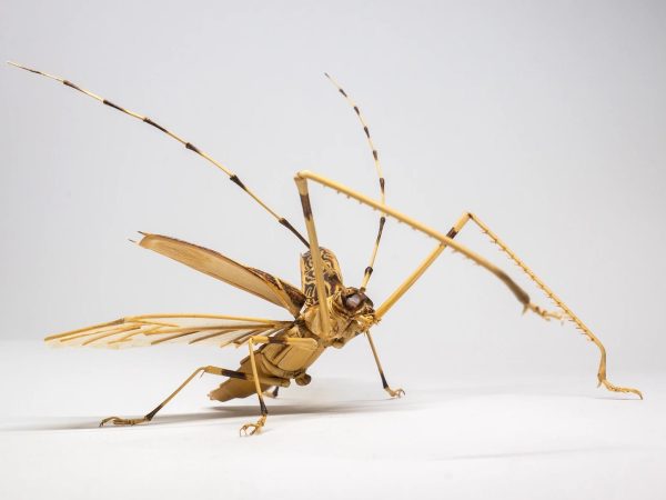 Insects Metamorphose from Bamboo in Noriyuki Saitoh’s Meticulous Sculptures