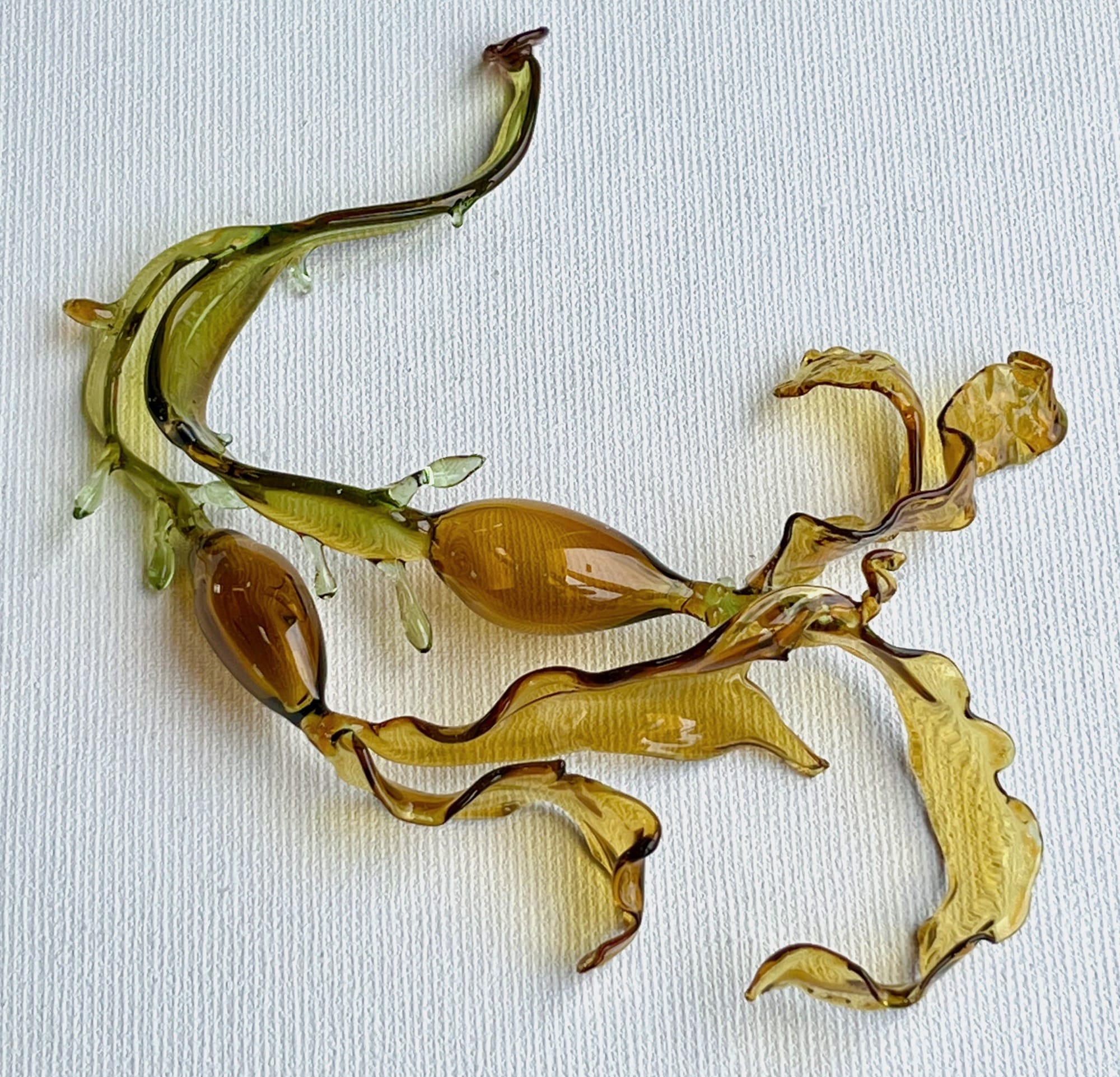 a glass sculpture of a tendril of bladderwrack kelp