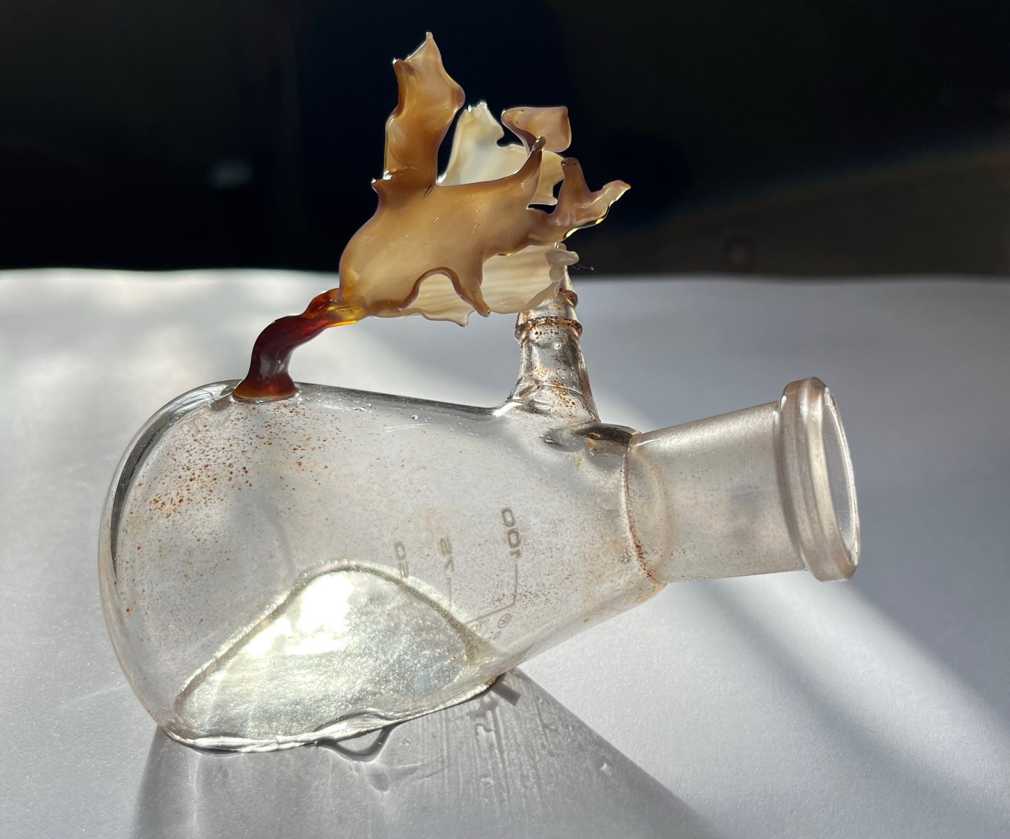 a glass sculpture with a leaf of seaweed attached to a glass beaker