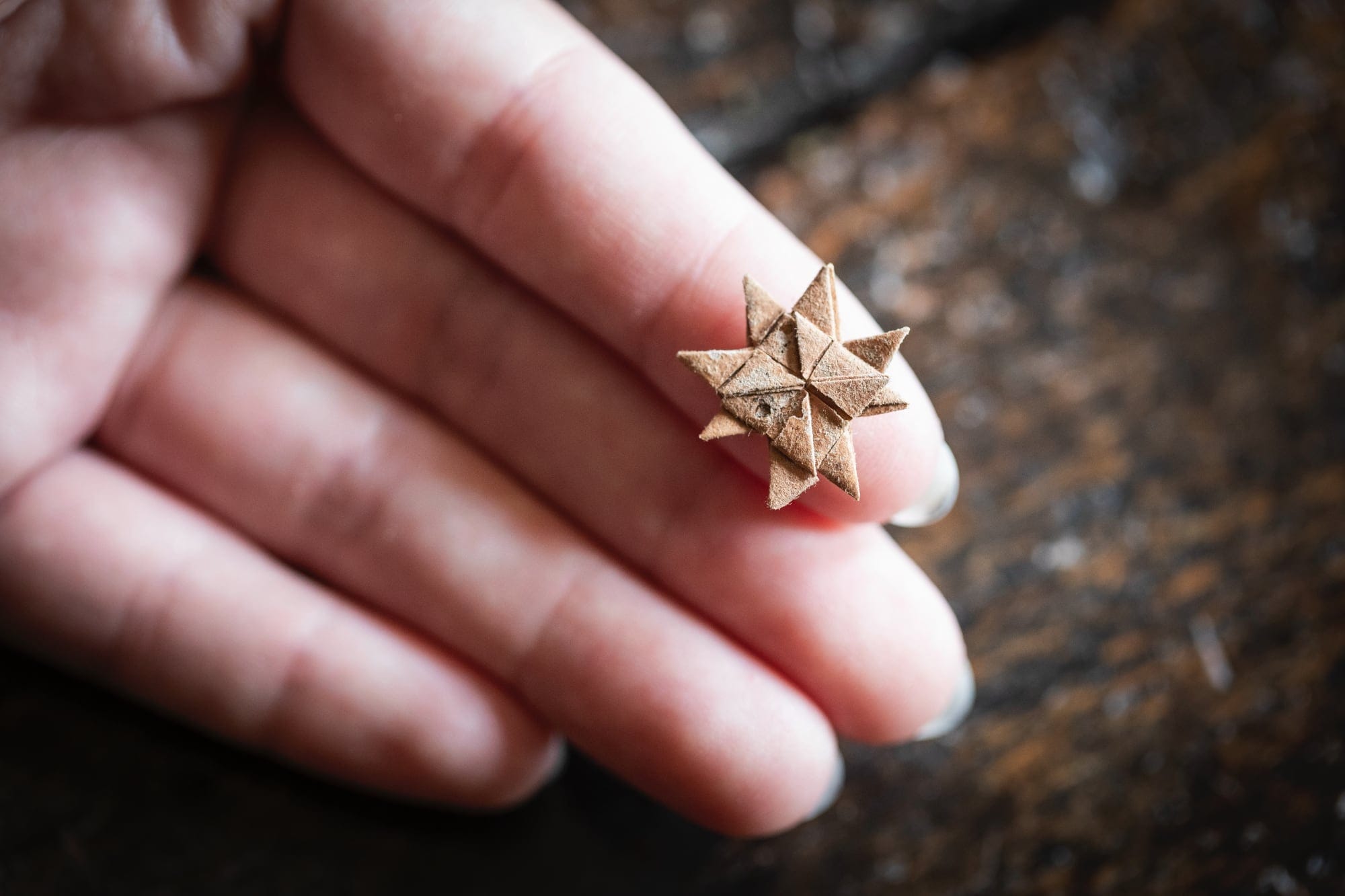 a white hand holding a paper star that's folded