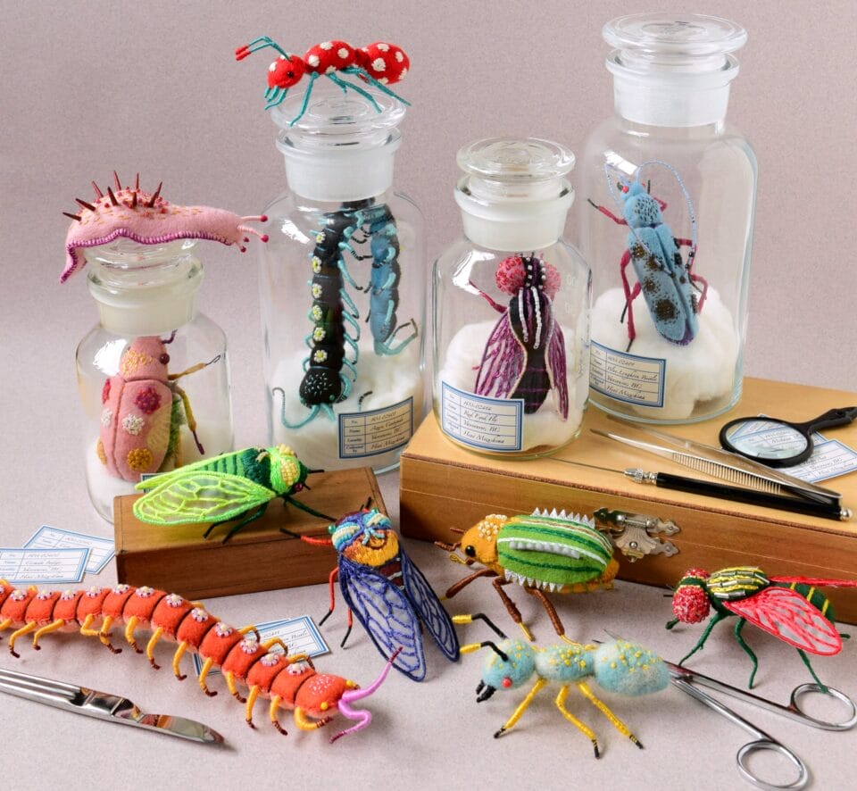 a collection of felted insects with various entomology tools and glass jars